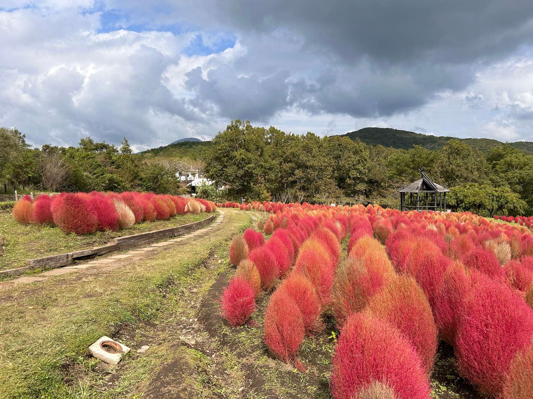 image 紅葉の季節