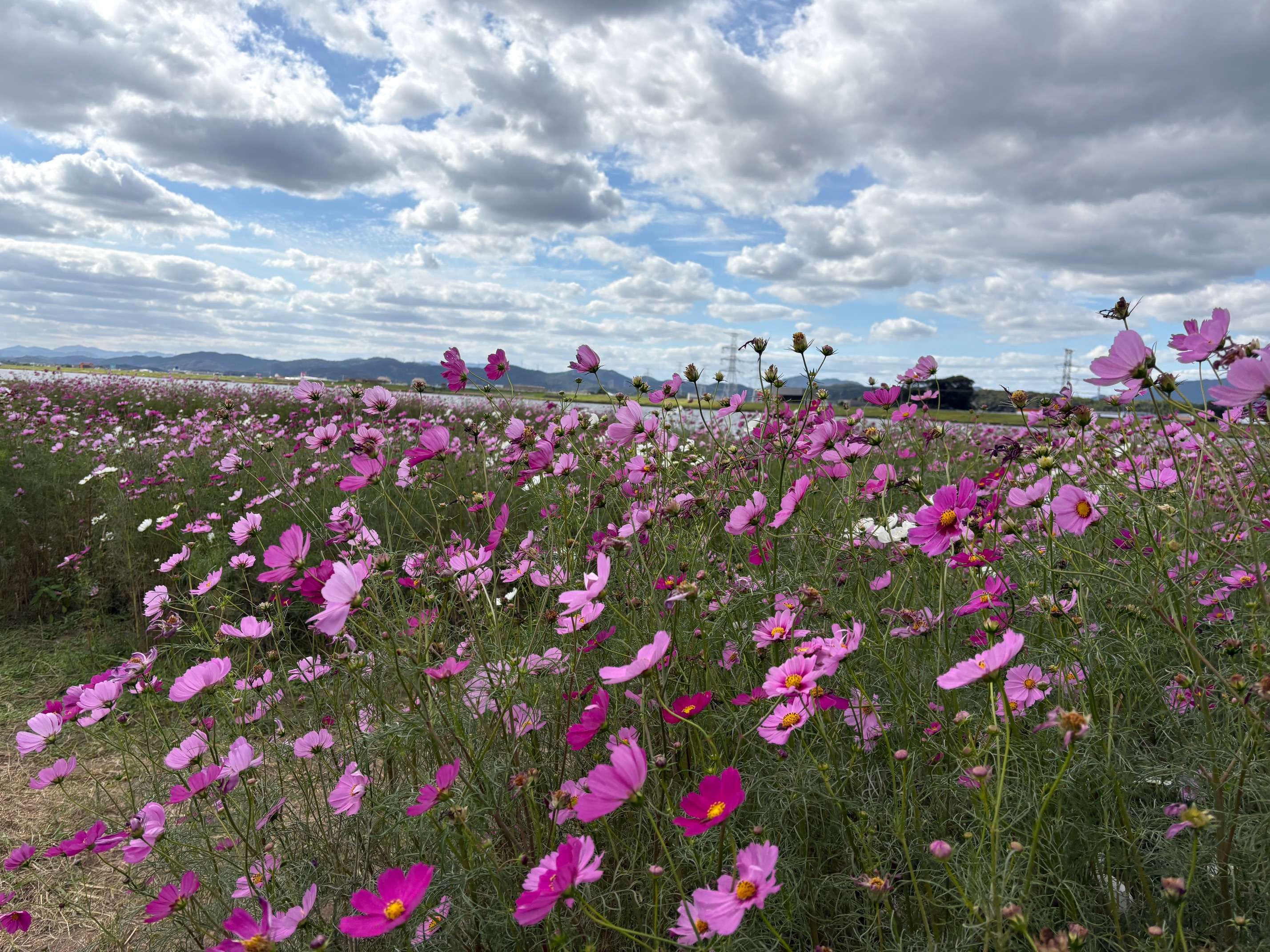 image ただいまの先にある、やさしい時間