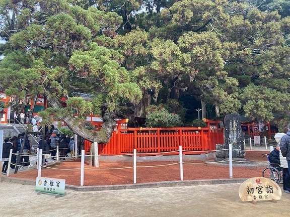 image お正月、香椎宮へ初詣に行ってきました！