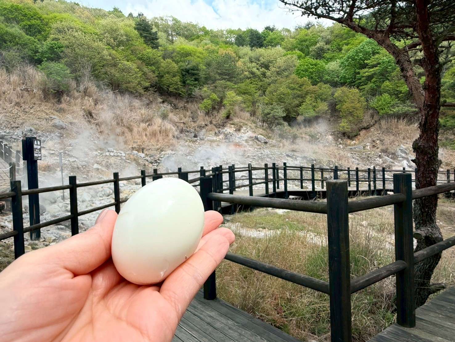 完成した温泉卵