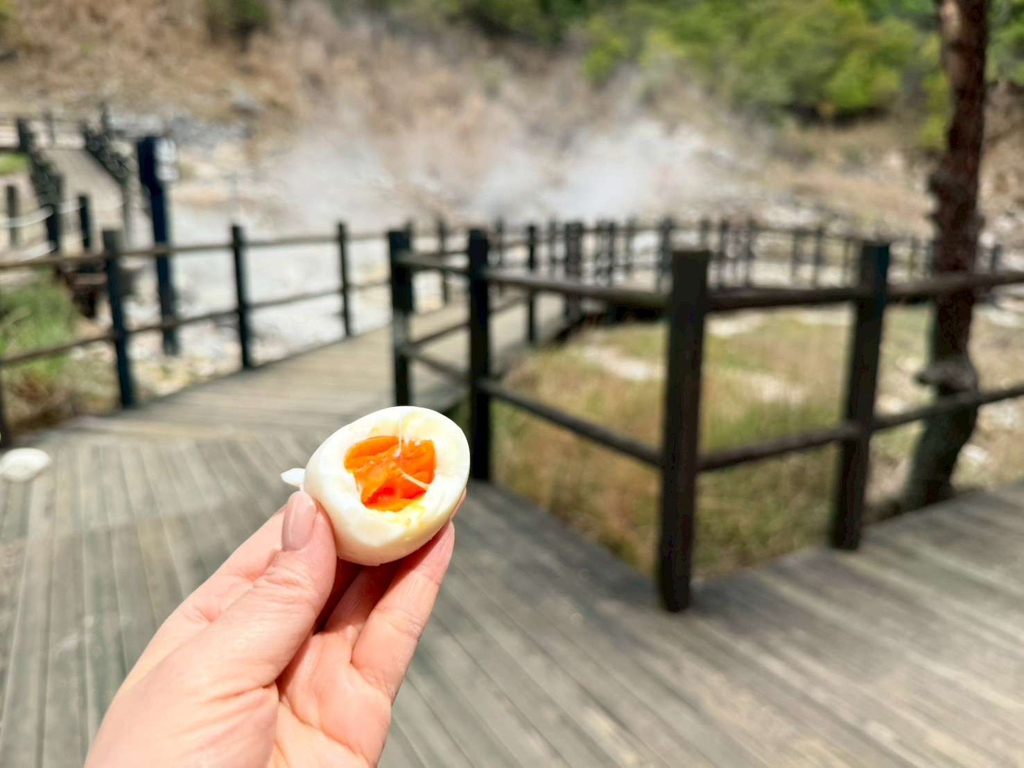 半熟の温泉卵