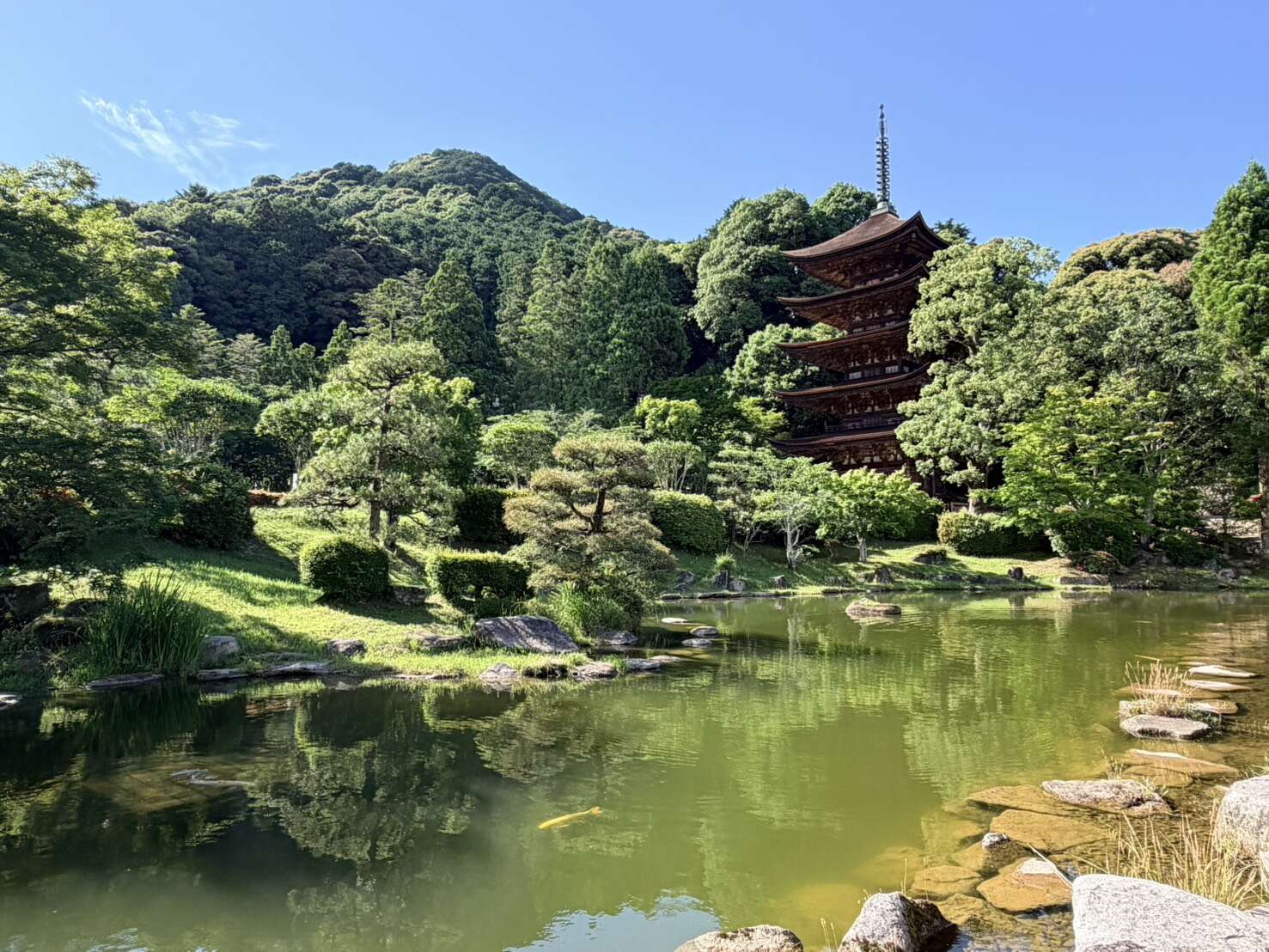 image 初夏の山口・津和野を巡る癒しの旅